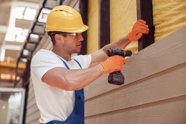 Best Vinyl Siding Installation  in Randolph, NE