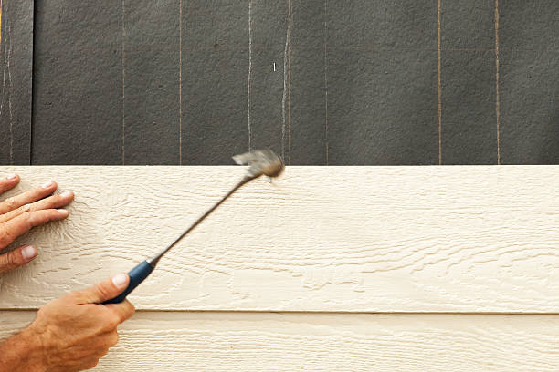 Best Fiber Cement Siding Installation  in Randolph, NE