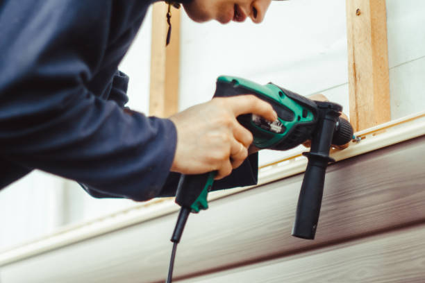 Best Insulated Siding Installation  in Randolph, NE